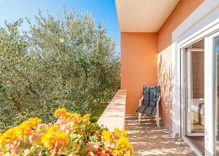 Bore Апартаменты